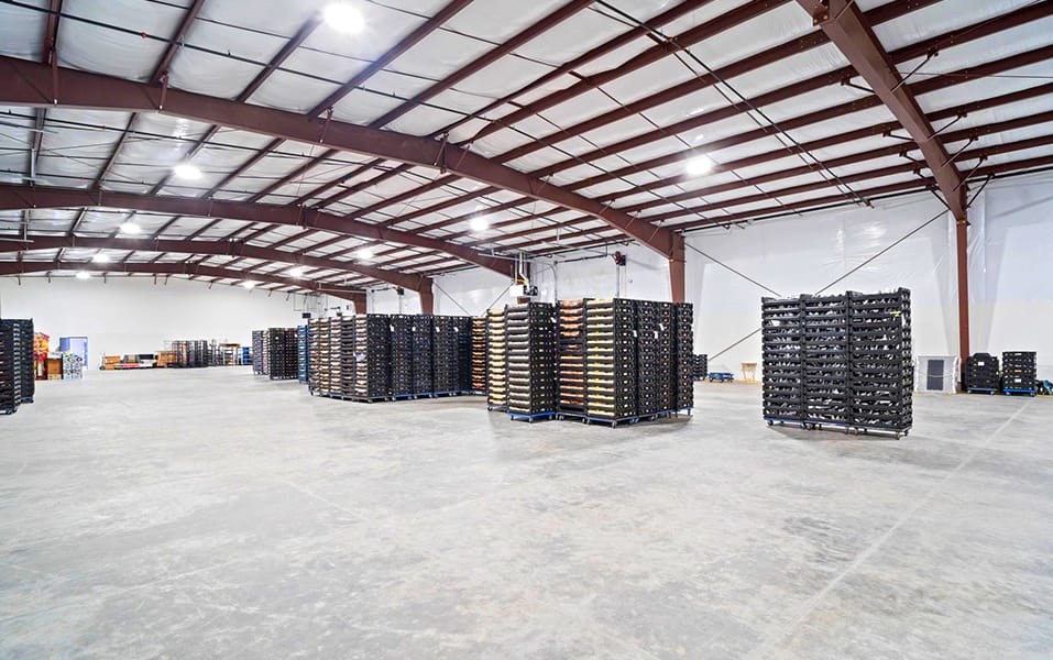 Interior view of a newly built warehouse showcasing the expansive storage capacity, high ceilings with steel beams, and efficient LED lighting, perfect for industrial-scale storage.